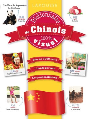 cover image of Dictionnaire de chinois 100% visuel
